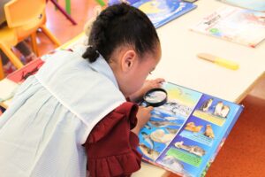liceo-frances-alicante-3